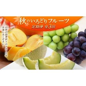 ふるさと納税 【先行予約 令和8年度発送】【定期便3回】 秋のいろどりフルーツ ぶどう ブドウ 葡萄 デザート フルーツ 果物 くだもの 果実 食品 山形県.. 山形県