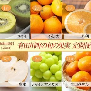 ふるさと納税 【定期便全6回】 有田川町の旬のフ...の商品画像