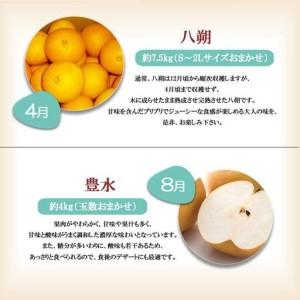 ふるさと納税 【定期便全6回】 有田川町の旬の...の詳細画像2