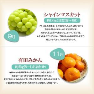ふるさと納税 【定期便全6回】 有田川町の旬の...の詳細画像3