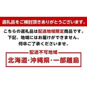 ふるさと納税 【定期便全6回】 有田川町の旬の...の詳細画像4