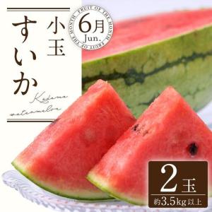 ふるさと納税 定期便全3回 和歌山の人気の夏の...の詳細画像1