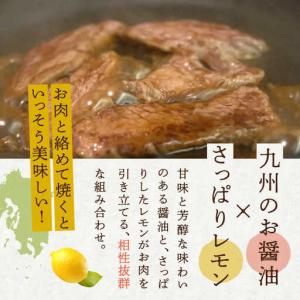 ふるさと納税 【12回定期便】レモンステーキソ...の詳細画像3
