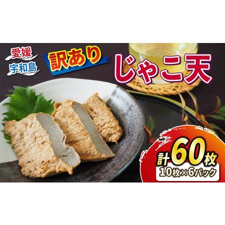 ふるさと納税 訳あり じゃこ天 60枚 セット 小林フーズ すり身 練り物 冷蔵 惣菜 フライ おで...