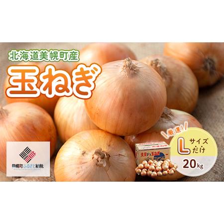 ふるさと納税 【令和8年産 先行予約】玉ねぎLサイズ・20kg（2026年10月上旬より順次発送） ...