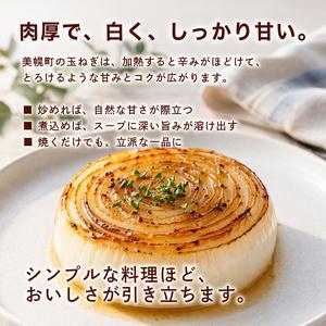 ふるさと納税 【 先行予約玉ねぎ】北海道産 玉...の詳細画像2