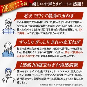 ふるさと納税 【 先行予約玉ねぎ】北海道産 玉...の詳細画像3