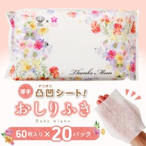 ふるさと納税 おしりふき 20パック(60枚入り...の商品画像