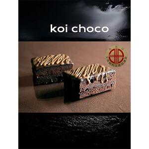 ふるさと納税 デ・レーヴのKoiチョコ　10個入【配送不可地域：離島】【1054834】 愛知県安城...