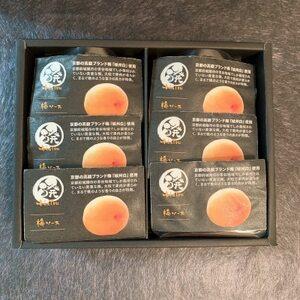 ふるさと納税 ミネラル醗酵梅ソース6個(化粧箱入り)【配送不可地域：離島】【1339792】 愛知県...