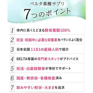 ふるさと納税 サプリ ベルタ 葉酸サプリ 30...の詳細画像4