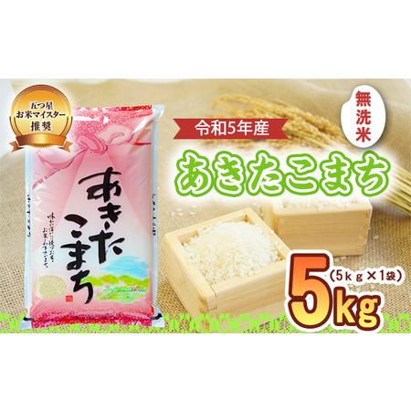 ふるさと納税 盛岡市産 あきたこまち 無洗米 5kg 岩手県盛岡市