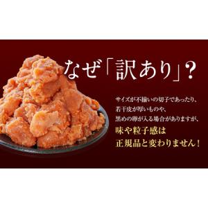 ふるさと納税 【順次発送】 訳あり 無着色辛子...の詳細画像1