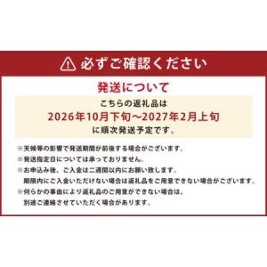 ふるさと納税 【規格外品】 みかん ご家庭用 ...の詳細画像3