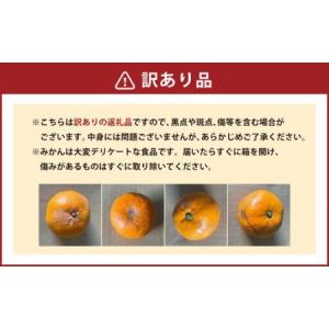ふるさと納税 【規格外品】 みかん ご家庭用 ...の詳細画像4