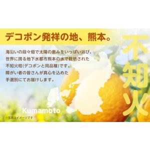 ふるさと納税 【規格外品】不知火 (デコポンと...の詳細画像2