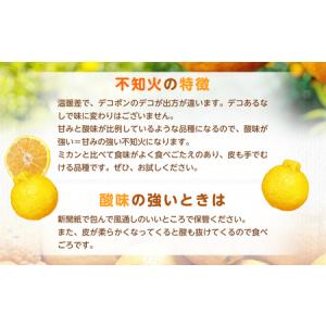 ふるさと納税 【規格外品】不知火 (デコポンと...の詳細画像3