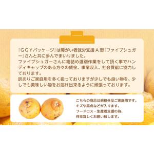 ふるさと納税 【規格外品】不知火 (デコポンと...の詳細画像4