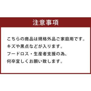 ふるさと納税 < R8年熊本地震復興支援 > ...の詳細画像2
