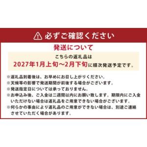 ふるさと納税 < R8年熊本地震復興支援 > ...の詳細画像3