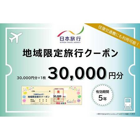 ふるさと納税 日本旅行　地域限定旅行クーポン（30,000円分） 和歌山県白浜町