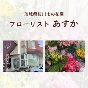 ふるさと納税 胡蝶蘭 3本立ち 36輪前後 プ...の詳細画像1