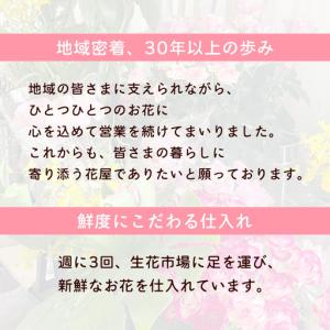 ふるさと納税 胡蝶蘭 3本立ち 36輪前後 プ...の詳細画像2