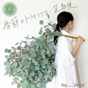 ふるさと納税 【定期便4回】 季節の草木花 花ス...の商品画像