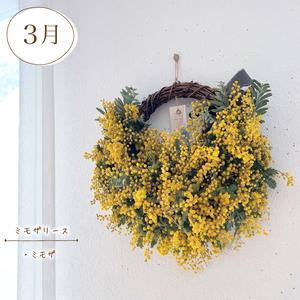 ふるさと納税 【定期便4回】 季節の草木花 花...の詳細画像1
