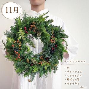 ふるさと納税 【定期便4回】 季節の草木花 花...の詳細画像4