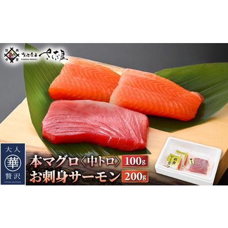 ふるさと納税 お刺身 セット サーモン 100g × 2P ＆ 本まぐろ 中トロ 100g ×1P【...