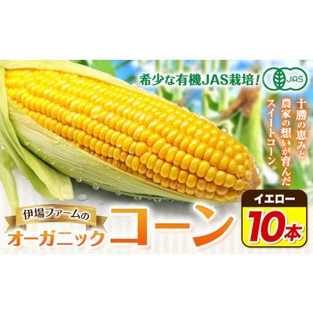 ふるさと納税 【2026年先行予約】とうもろこし オーガニック コーン 10本 とうもろこし 伊場フ...