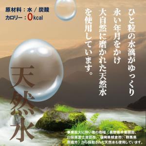 ふるさと納税 【定期便】(年/隔月)強炭酸水(...の詳細画像3