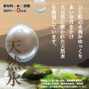ふるさと納税 【定期便】(隔月)3回定期便 強...の詳細画像3