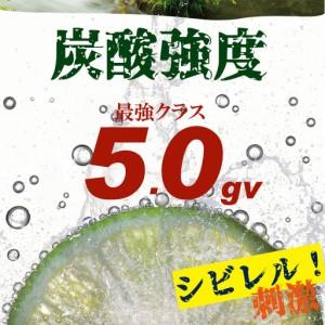 ふるさと納税 【定期便】(隔月)3回定期便 強...の詳細画像4