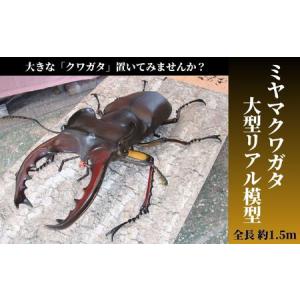 ふるさと納税 ミヤマ クワガタ 大型 リアル 模型 クワガタ 昆虫 おもちゃ 飾り（透明ケース付） 奈良県三宅町
