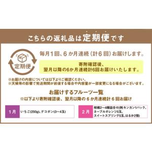 ふるさと納税 【6か月連続定期便】熊本便り!旬...の詳細画像1