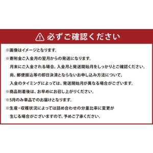 ふるさと納税 【6か月連続定期便】熊本便り!旬...の詳細画像3