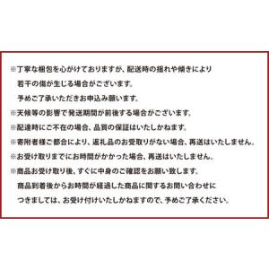 ふるさと納税 【6か月連続定期便】熊本便り!旬...の詳細画像4