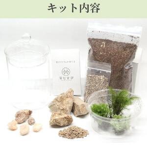 ふるさと納税 【ベーシック編】苔テラリウム制作キット（ツール付き） 神奈川県鎌倉市