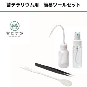 ふるさと納税 苔テラリウムスターターキット キ...の詳細画像1