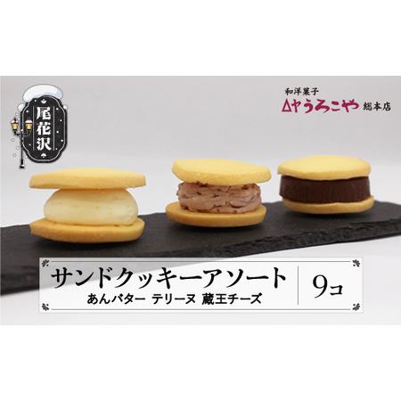 ふるさと納税 お菓子 スイーツ 洋菓子 サンドクッキーアソート 3種 ( あんバター 、 テリーヌ ...