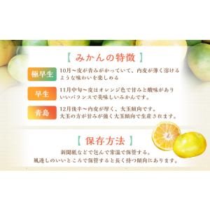 ふるさと納税 【規格外品】 熊本市産 みかん ...の詳細画像1