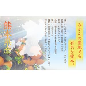 ふるさと納税 【規格外品】 熊本市産 みかん ...の詳細画像3