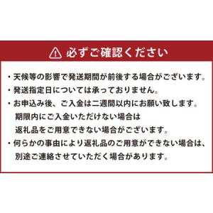 ふるさと納税 【規格外品】 熊本市産 みかん ...の詳細画像4