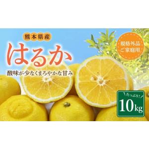 ふるさと納税 【規格外品】はるか ご家庭用 10kg サイズ不選別 サラダみかん 柑橘 ミカン 果物 【2027年2月上旬〜3月下旬迄発送予定】 熊本県熊本市