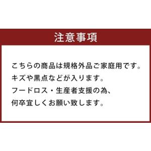 ふるさと納税 【規格外品】はるか ご家庭用 1...の詳細画像2