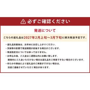 ふるさと納税 【規格外品】はるか ご家庭用 1...の詳細画像3