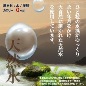ふるさと納税 強炭酸水 500ml 24本×2...の詳細画像2
