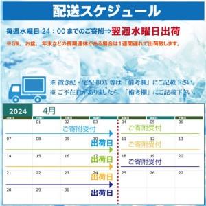 ふるさと納税 強炭酸水 500ml 24本×2...の詳細画像4